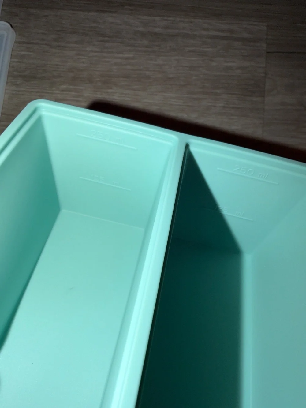 🩷Firm Price🩷2 Silicone Meal Prep Freezer Tray with lids - Mint Green